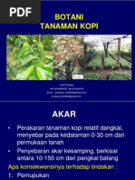 Download Botani Tanaman Kopi by Hari Prasetyo SN93183171 doc pdf