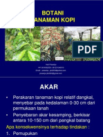 Botani Tanaman Kopi