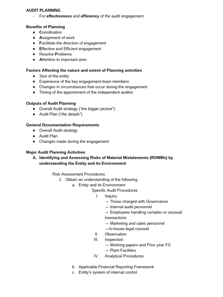 Audit Planning | PDF