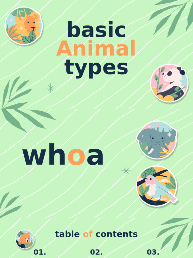 Overview of Animal Types and Features | PDF | Amphibian | Insects