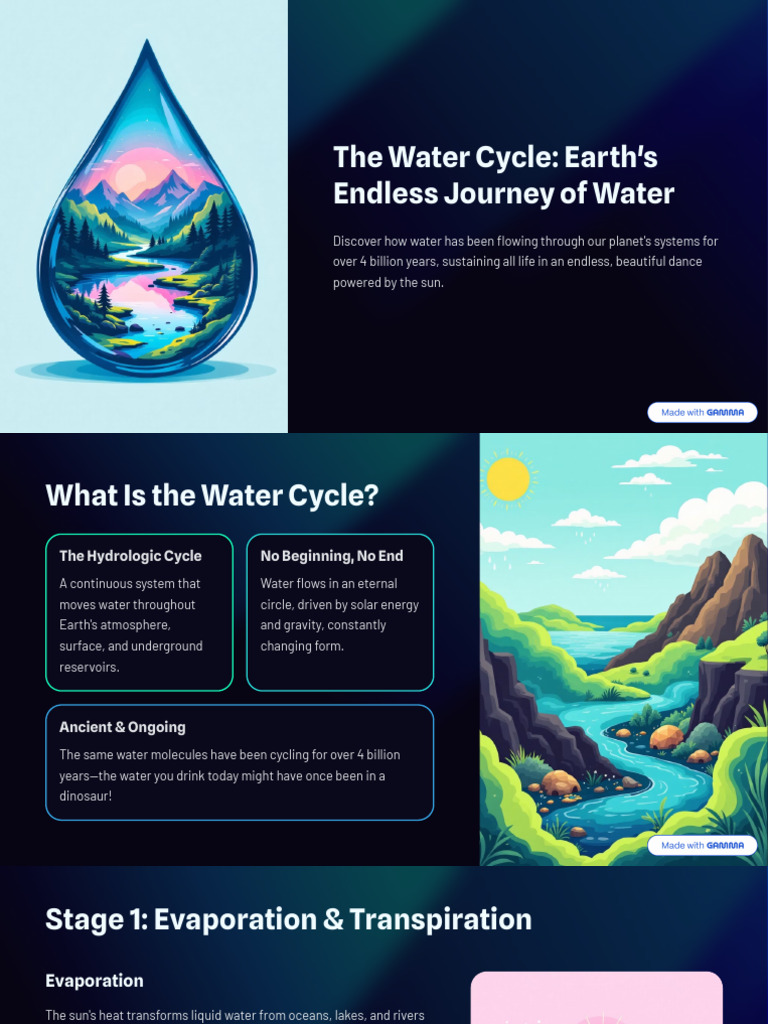 Understanding the Water Cycle's Impact | PDF | Water | Water Cycle