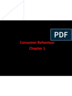 Chapter 1.Consumer Behavior 2
