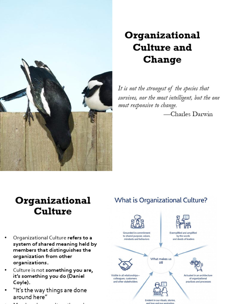 Understanding Organizational Culture & Change | PDF | Organizational ...
