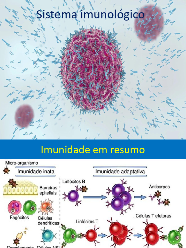 Entendendo o Sistema Imunológico | PDF