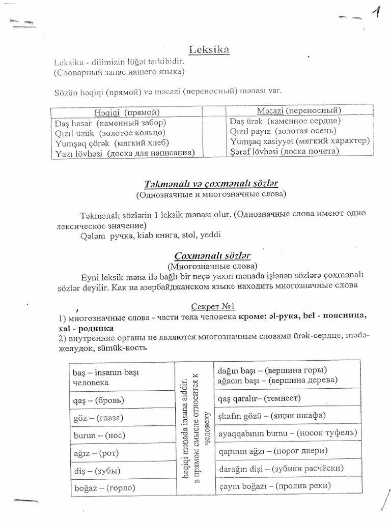 Leksika 36 | PDF