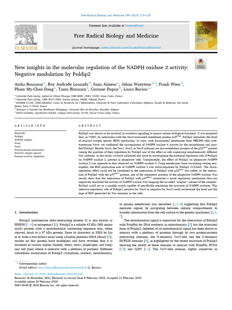 New Insights in The Molecular Regulation of The NADPH Oxidase 2 ...