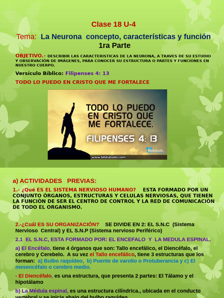 Características y Funciones de la Neurona | PDF | Neurona | Sinapsis