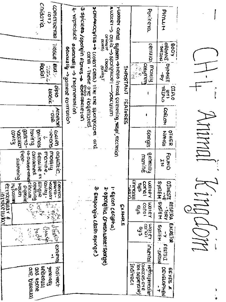 CH - 4 Animal Kingdom Notes | PDF