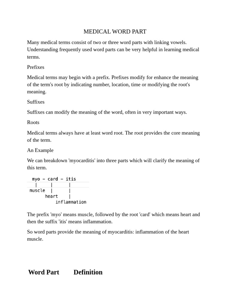 Medical Word Part | PDF | Abdomen | Atrium (Heart)