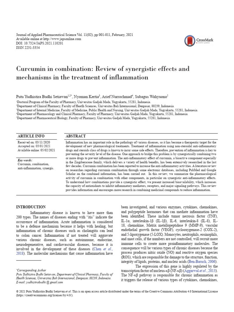 Curcumin in Combination Review of Synergistic Effects | PDF ...
