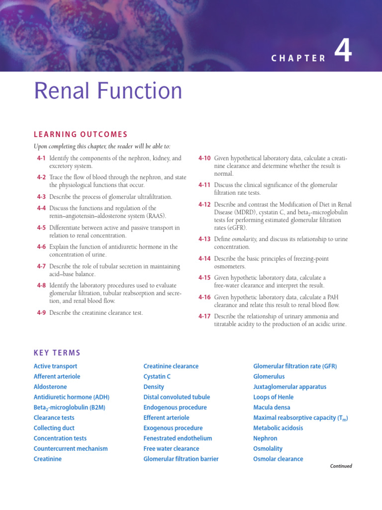 Understanding Renal Function and Tests | PDF | Kidney | Angiotensin
