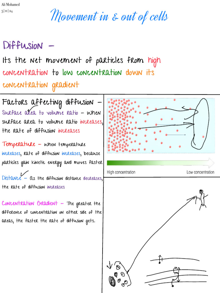 Understanding AI in Healthcare | PDF