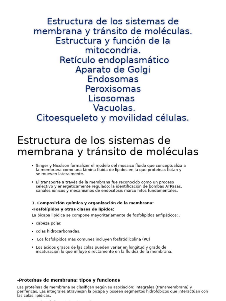 Estructura y función de membranas celulares | PDF | Membrana celular ...