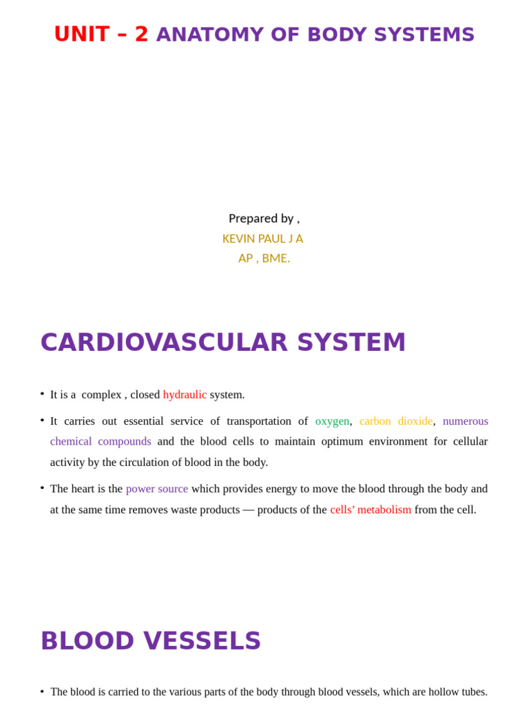 Anatomy of Human Body Systems Overview | PDF | Heart | Heart Valve