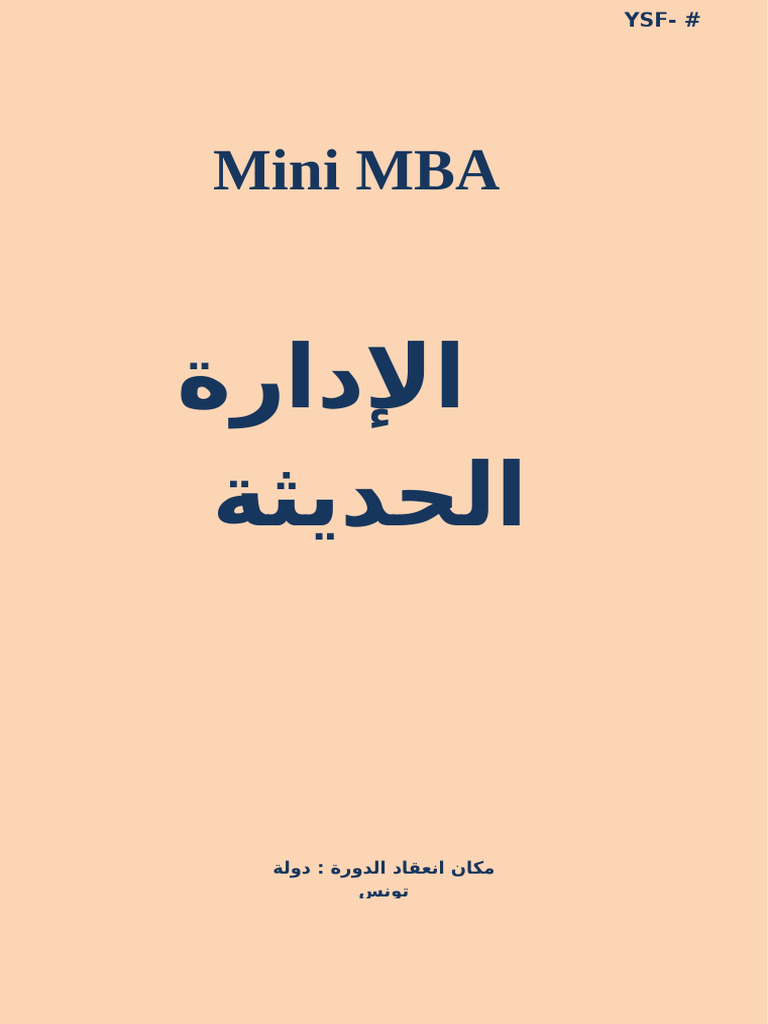 Mini Mba | PDF