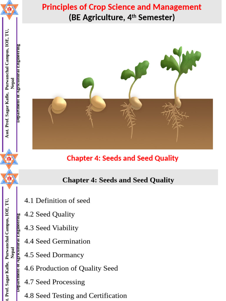 Seed Quality and Viability Principles | PDF | Seed | Biology