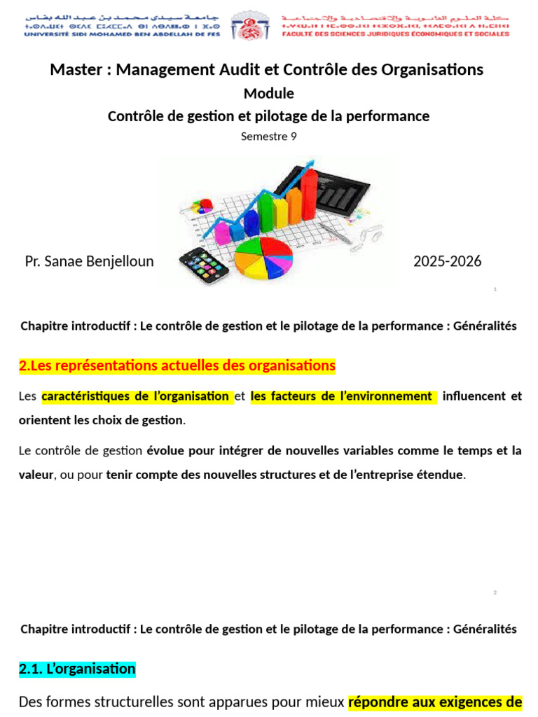Contrôle de gestion et performance organisationnelle | PDF | Logistique ...