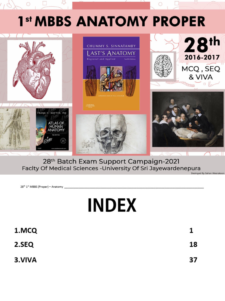 1st MBBS Anatomy MCQs and SEQs Guide | PDF | Lung | Pancreas