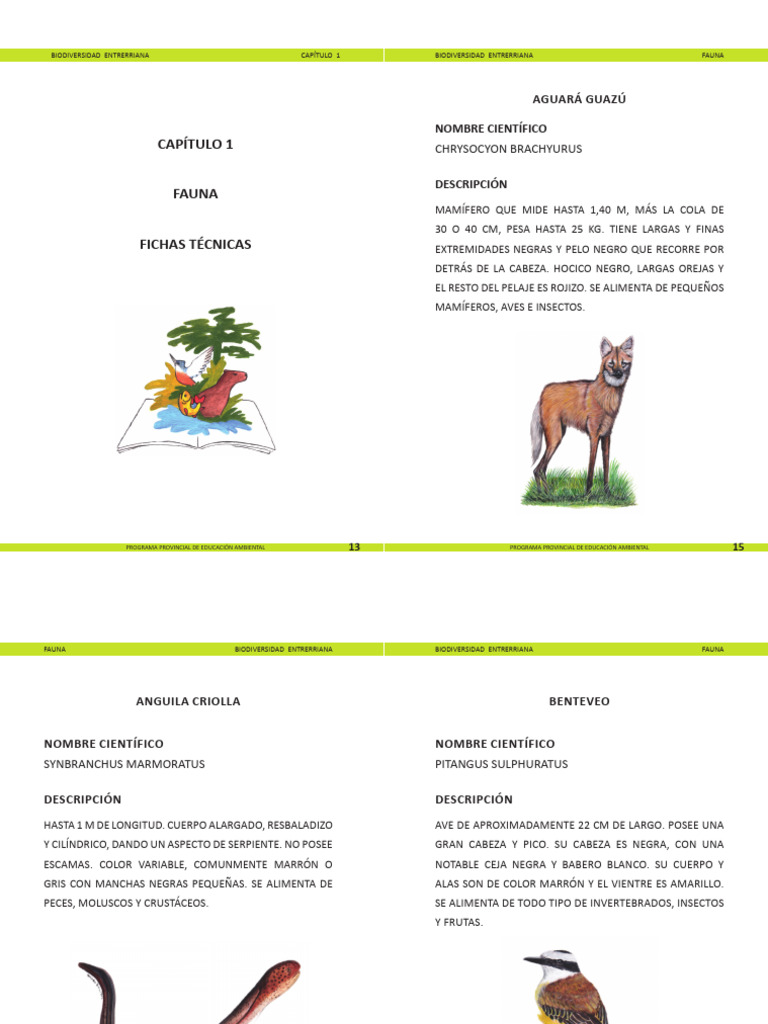 Fauna y Flora de Entre Ríos | PDF | Plantas