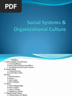 Social Systems & Organizational Culture