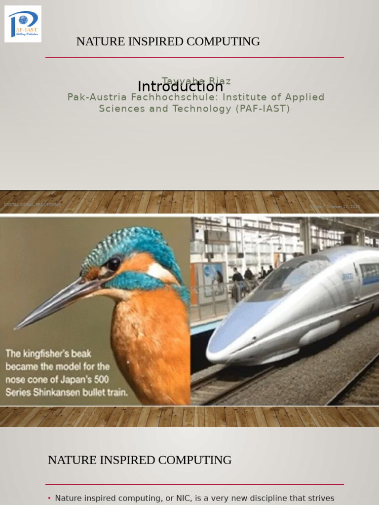 Nature Inspired Computing Overview | PDF | Mathematical Optimization ...