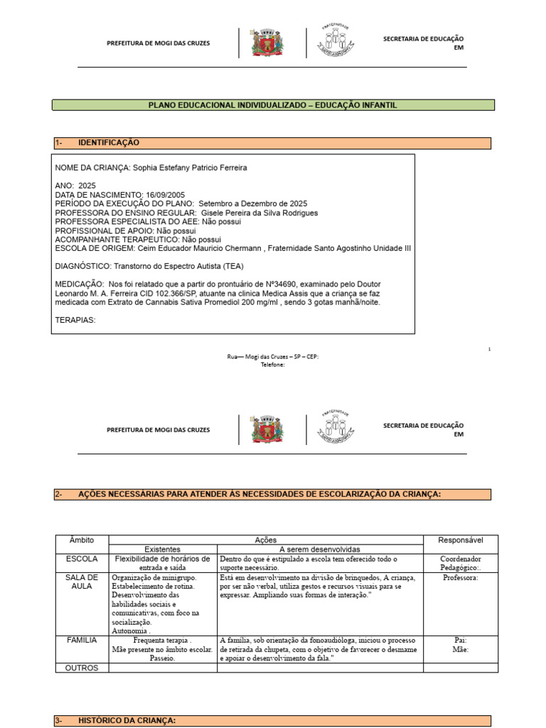 Plano Educacional Individualizado TEA 2025 | PDF | Aprendizado | Família