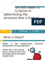 Interaction With Water Is A Primary Factor in Determining The Structure That Is Formed
