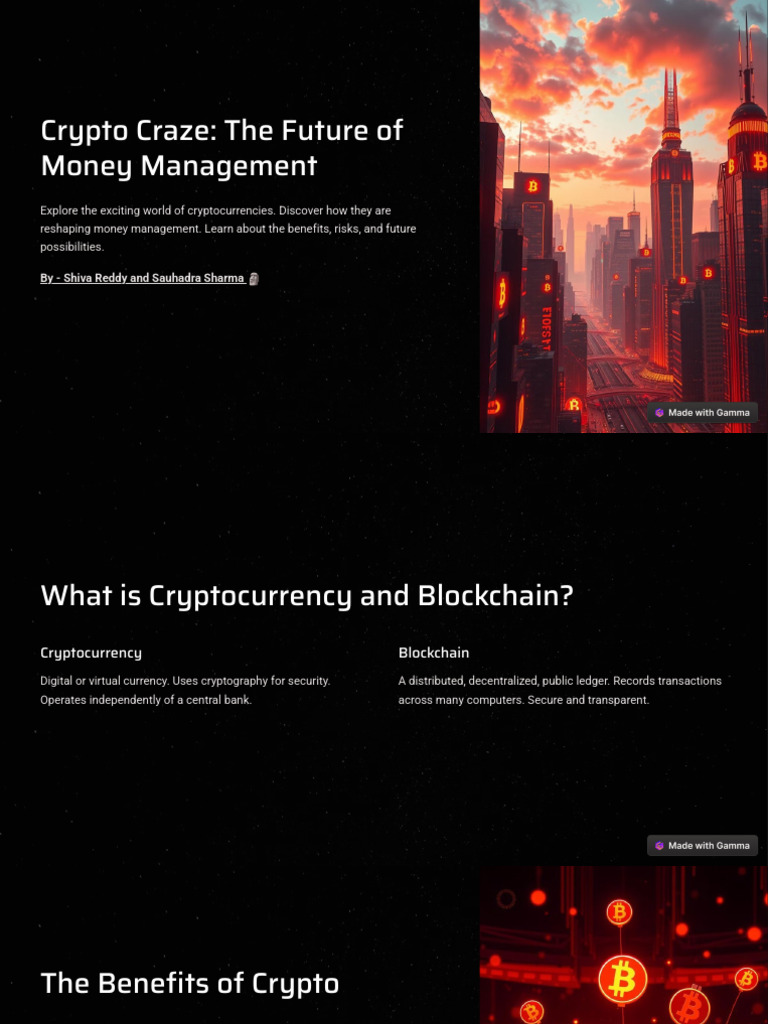 Crypto Craze The Future of Money Management | PDF | Cryptocurrency | Risk