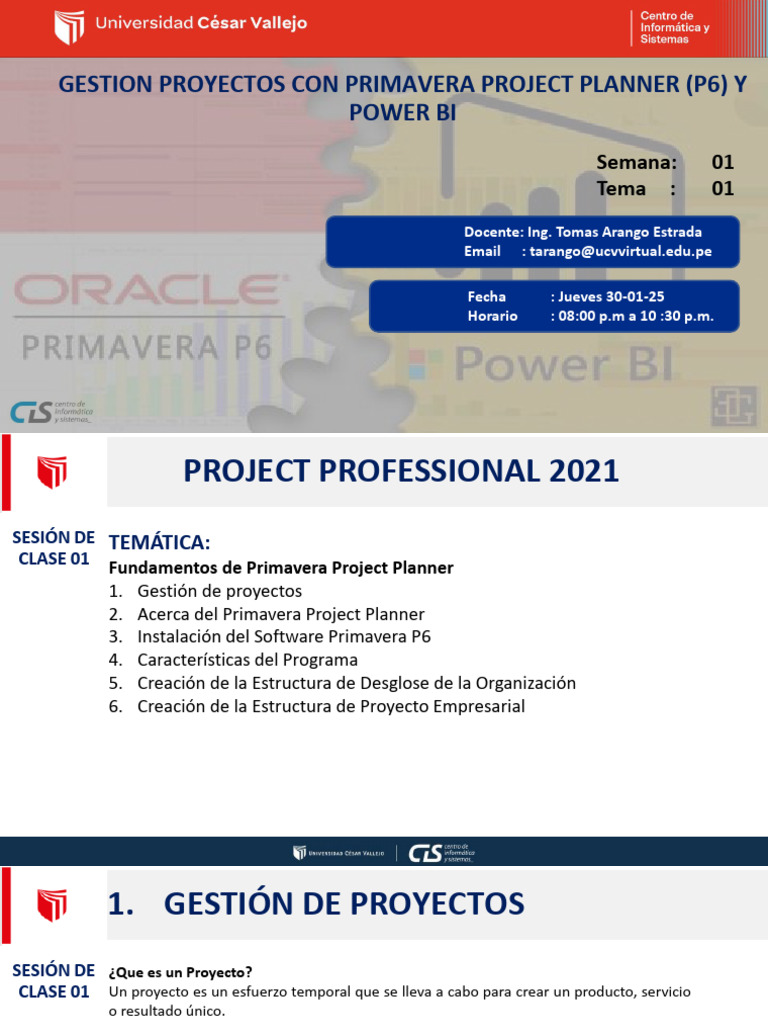 Gestión de Proyectos con Primavera P6 y Power BI | PDF | Gestión de ...