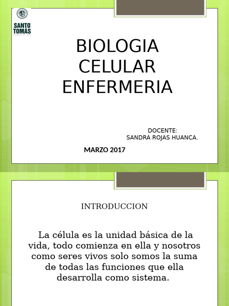 Clase 1 Bio 002 | PDF | Organismos | Biología Celular)