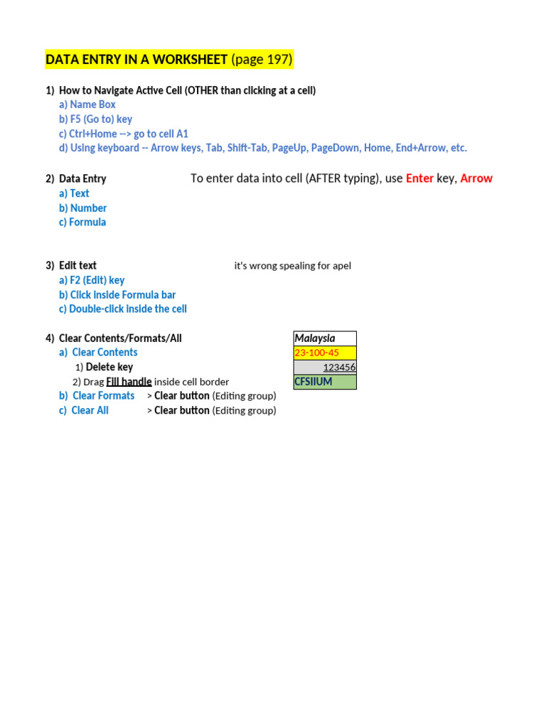 Excel Data Entry and Formatting Guide | PDF | Human–Computer ...