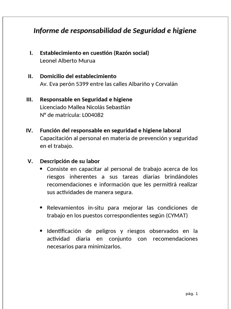 Informe de Responsabilidad de Seguridad e Higiene | PDF