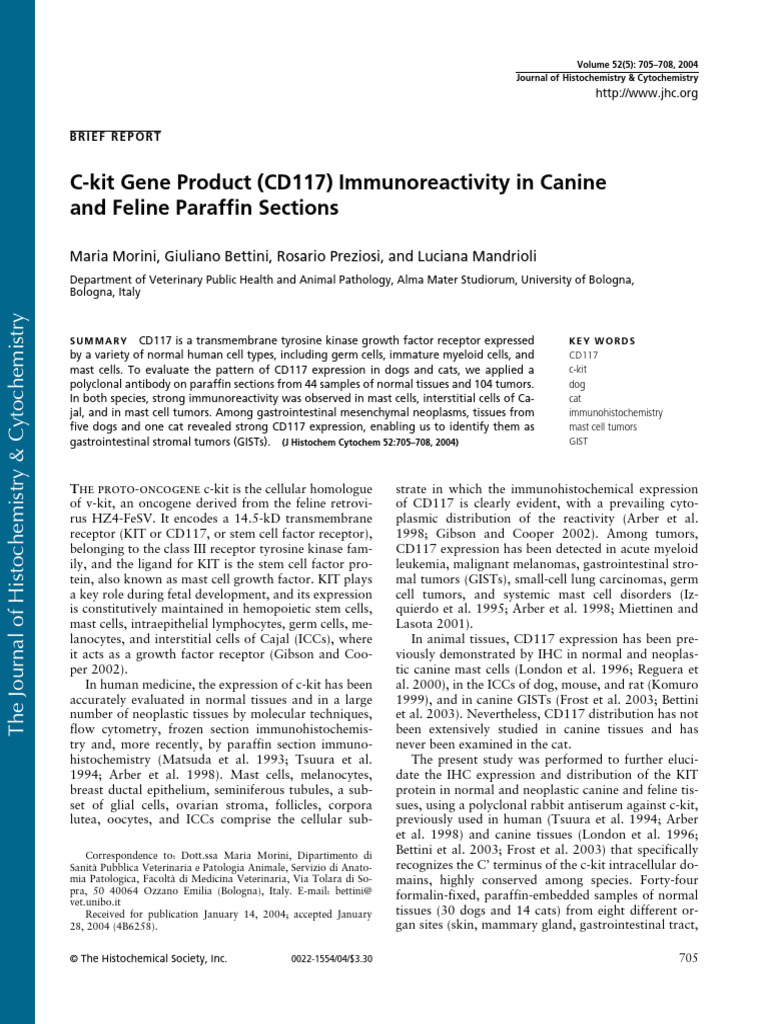 CD117 Immunoreactivity in Dogs and Cats | PDF | Immunohistochemistry ...