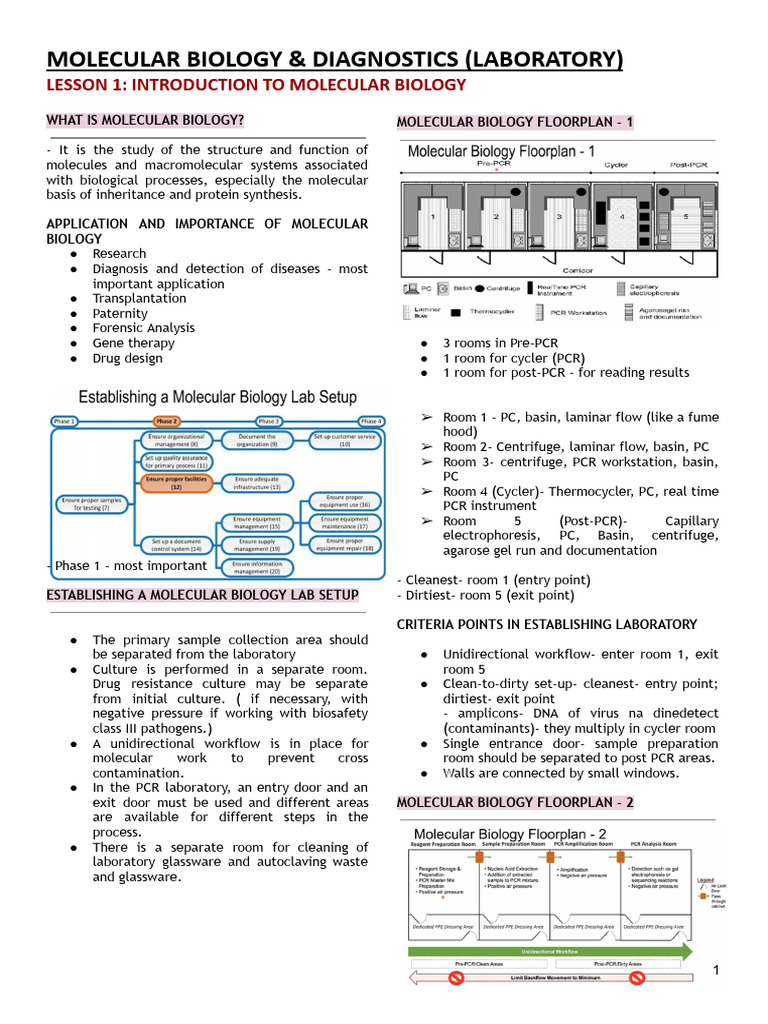 Molecular Biology Lab Setup Guide | PDF | Polymerase Chain Reaction ...