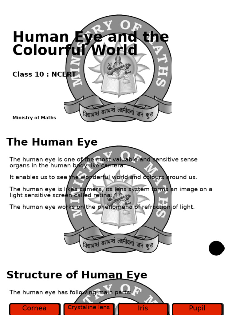 Human Eye Structure and Function Explained | PDF | Eye | Human Eye