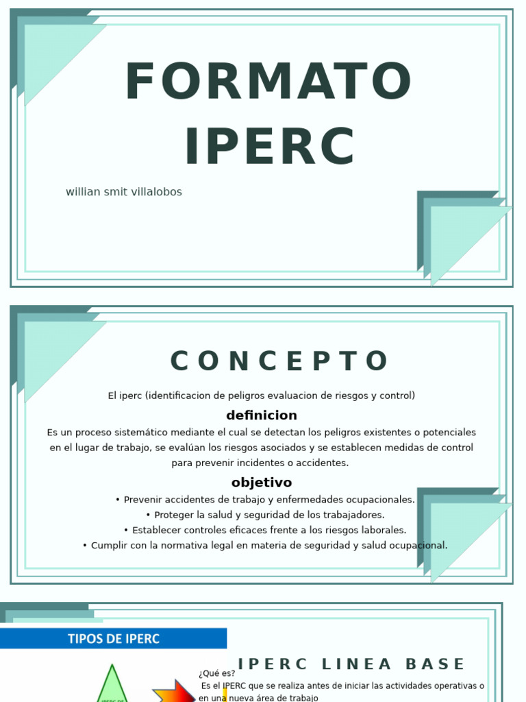 Formato Iprc | PDF