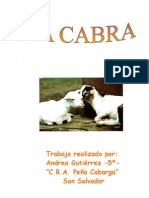 La Cabra