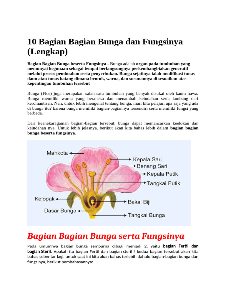 Fungsi dan Struktur Pedunculus Bunga | PDF