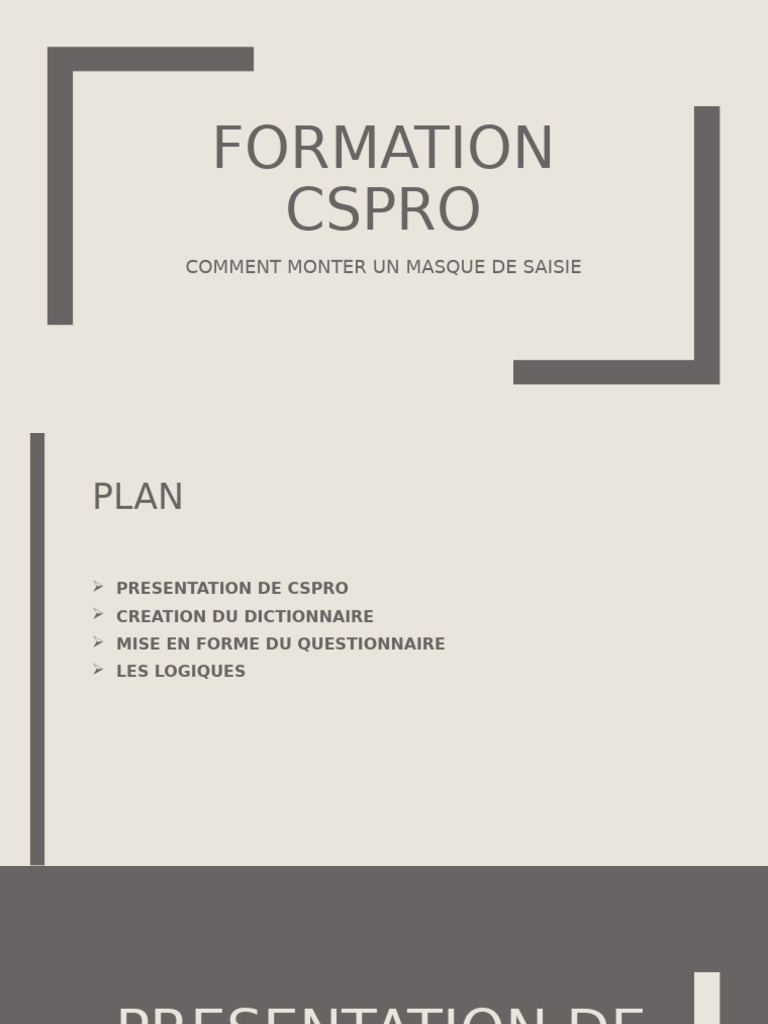 Guide de création d'un masque CSPRO | PDF | Programmation informatique ...