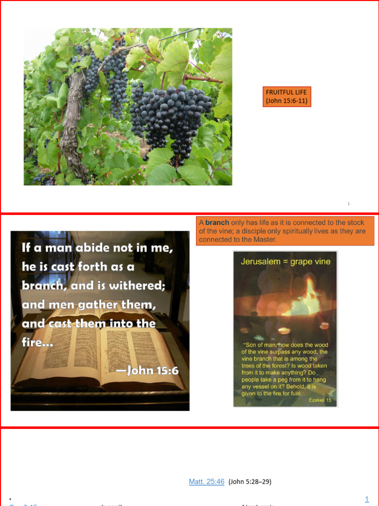 Bible Study 14.12.2022 | PDF | Jesus | Religious Belief And Doctrine