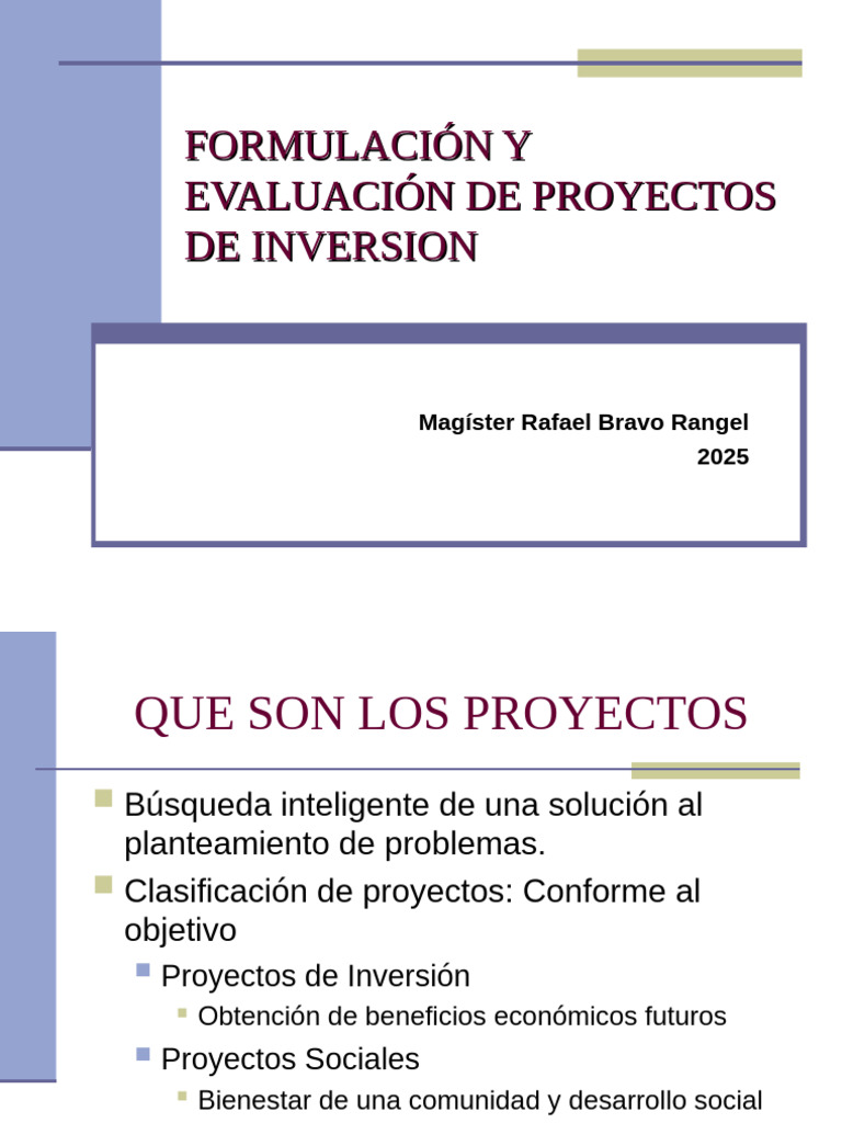 Formulación y Evaluación de Proyectos | PDF | Plan de negocios | Business