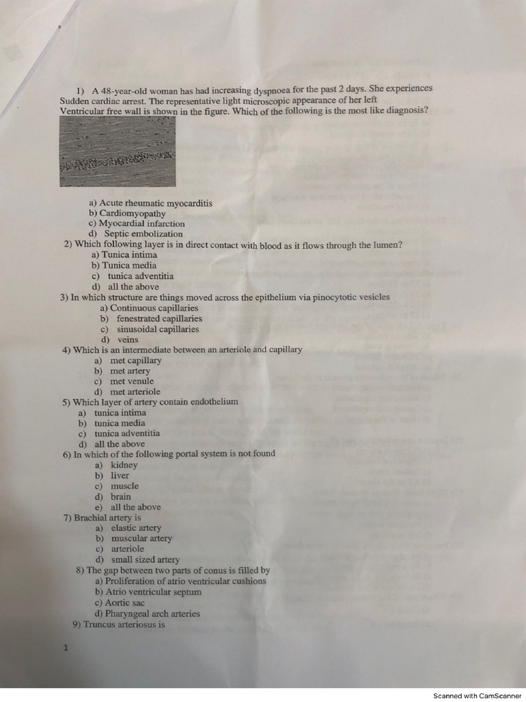CVS CA Anatomy. Klaus | PDF