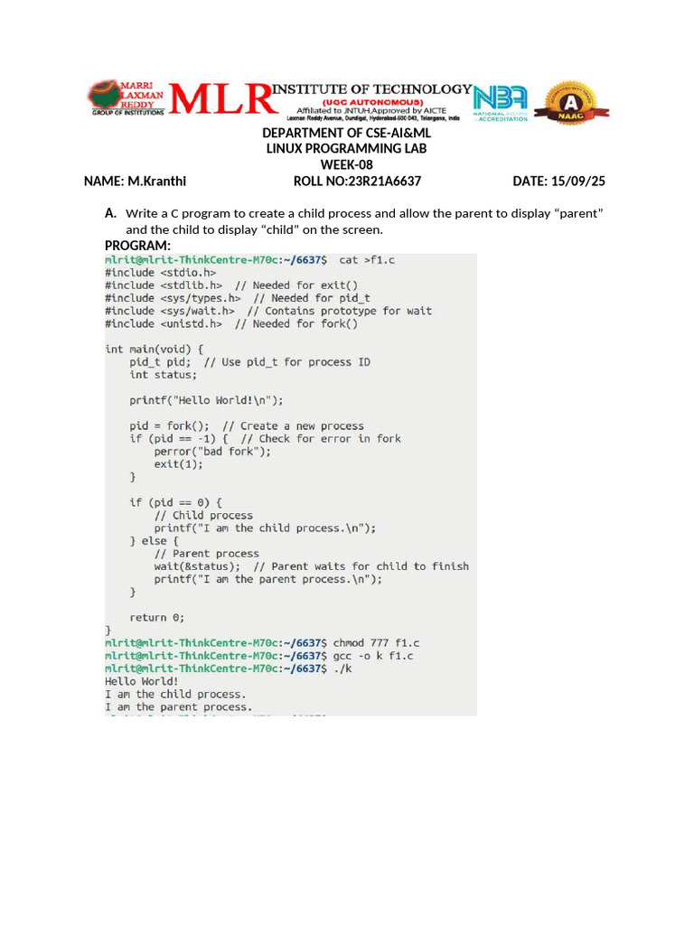 Linux Week 8 | PDF