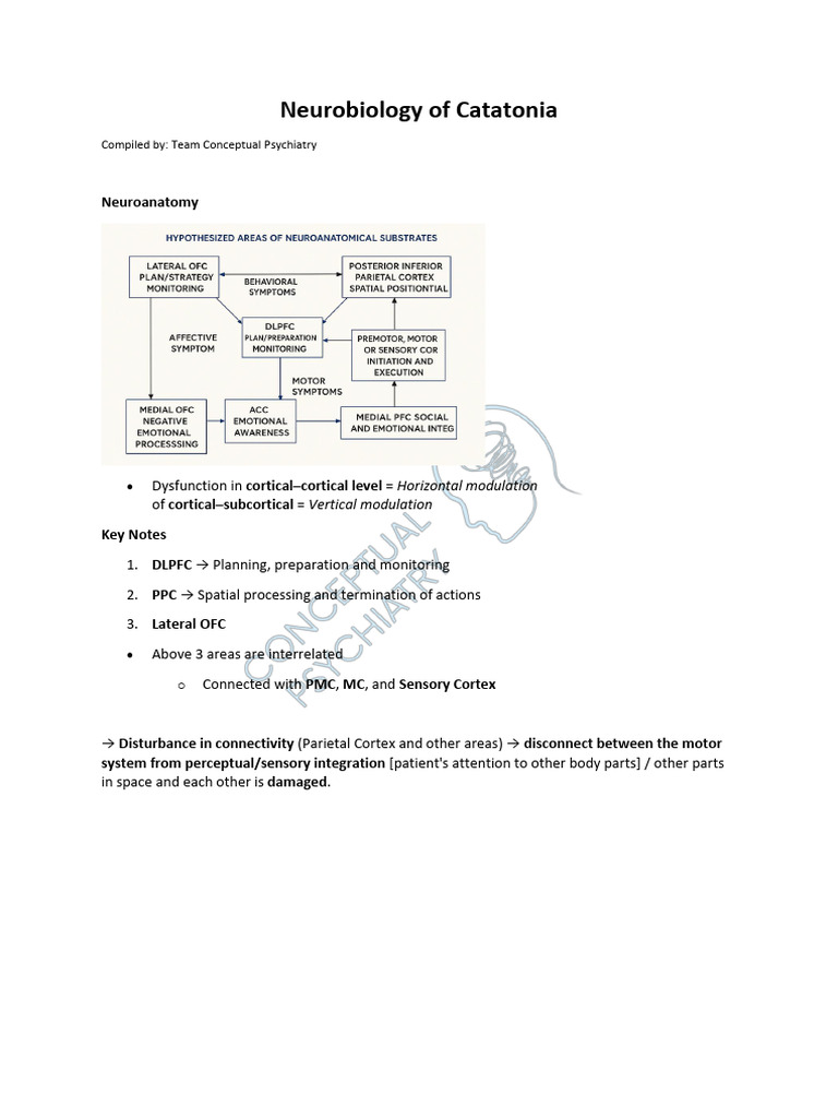 Neurobiology Insights on Catatonia | PDF | Cerebral Cortex | Parietal Lobe