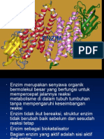 Pertemuan 7 (Enzim)