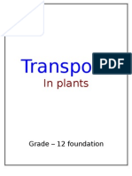 Transport System in Plant
