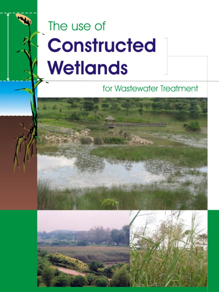 wetlands phd thesis pdf