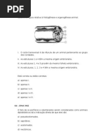 38347148 Exercicios Sobre Folhetos Embrionarios