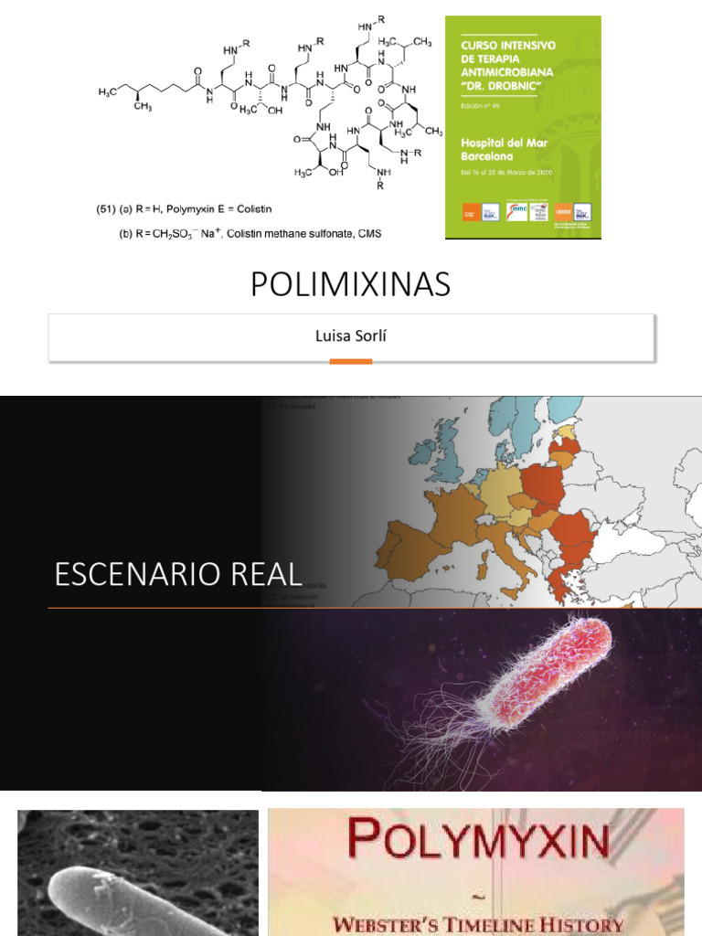 Polimixinas: Uso y Efectos en Infecciones | PDF | Microbiología ...