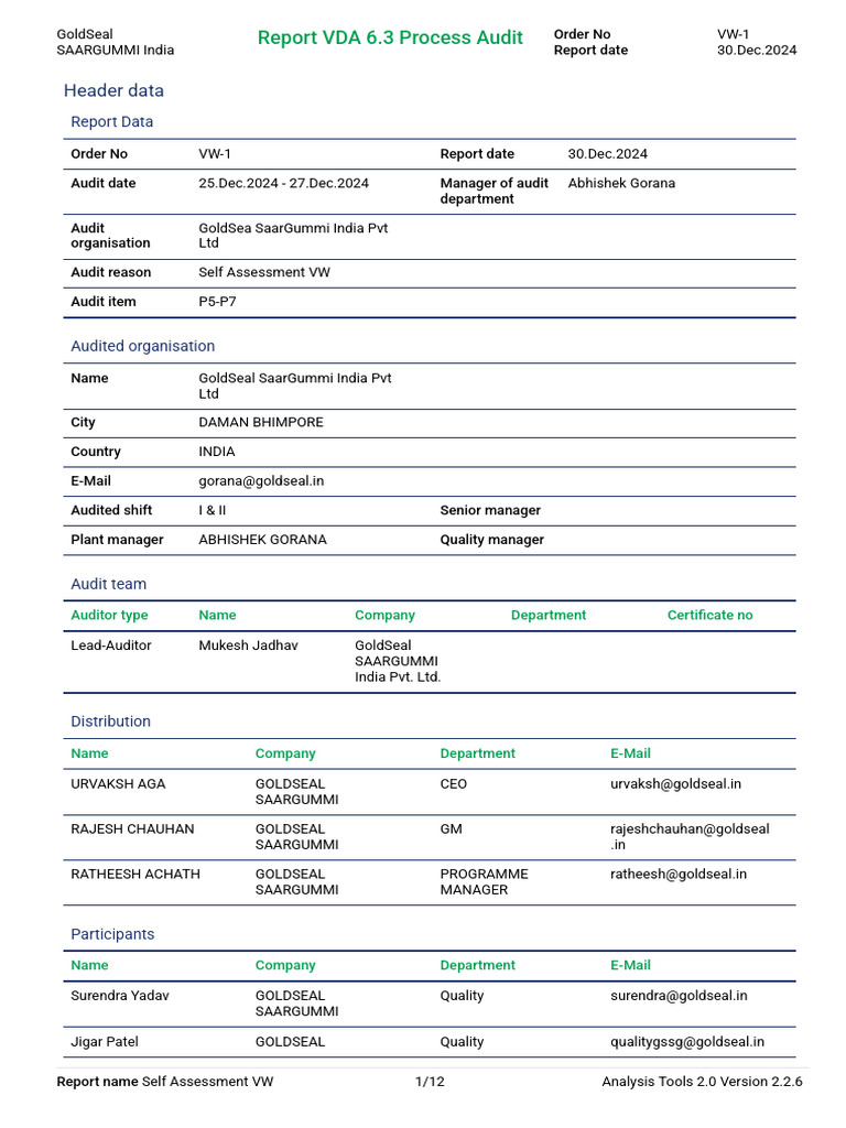 SaarGummi India Audit Report Summary | PDF | Audit | Accounting
